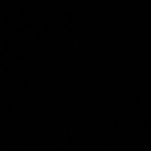 Meet your Posher, Floricel